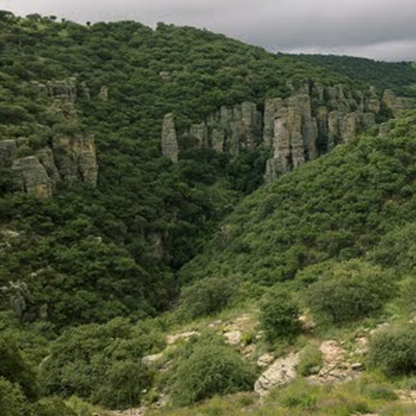 Explorar la Sierra de Lobos – GUANAJUATO, MARAVILLAS NATURALES